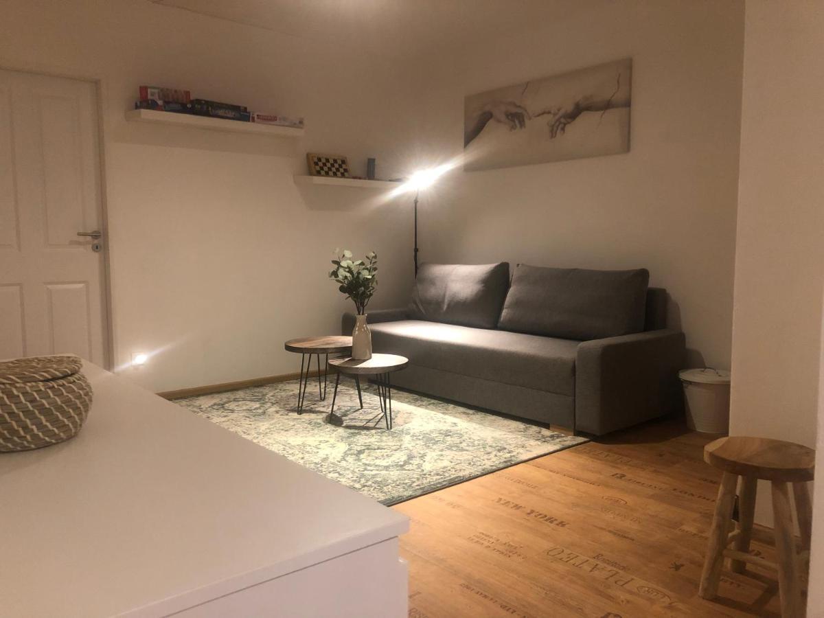 Casa Santini Villa Jáchymov Eksteriør bilde