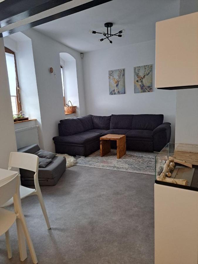 Casa Santini Villa Jáchymov Eksteriør bilde